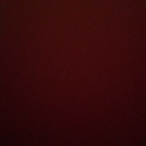 Meet your Posher, Blanca